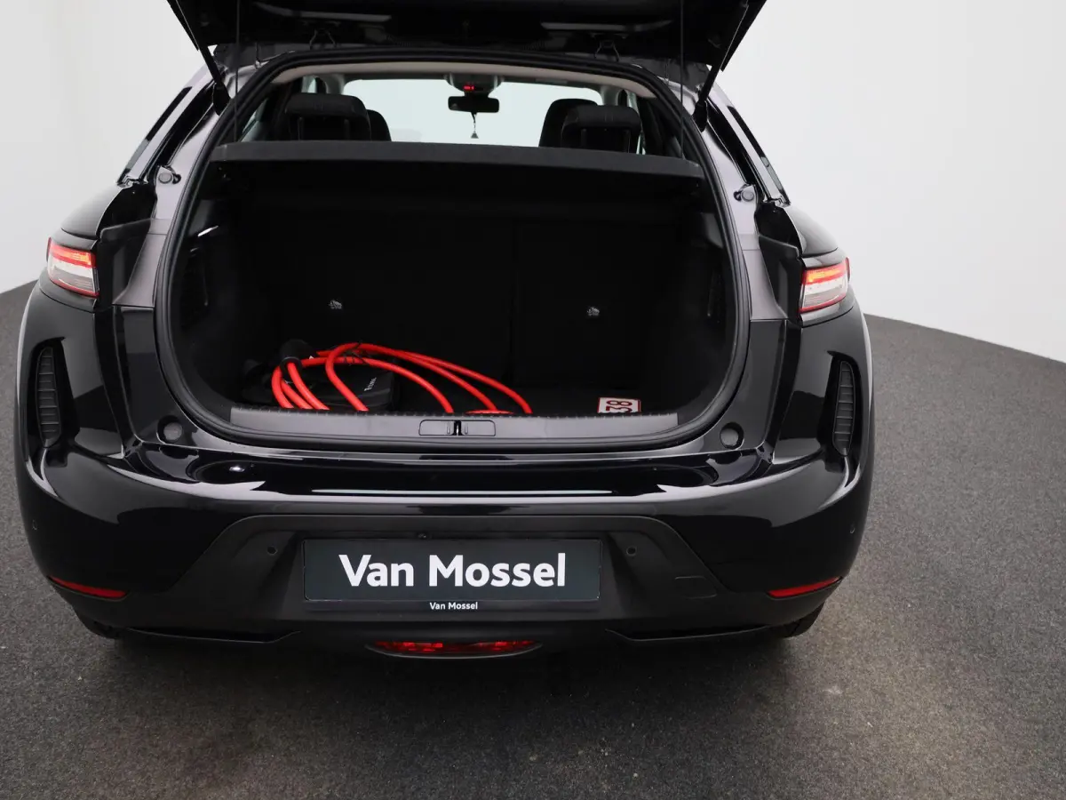 PERFORMANCE Line | Hoge instap| Parkeer camera | Apple Carpley - Android auto | Head-Up Display