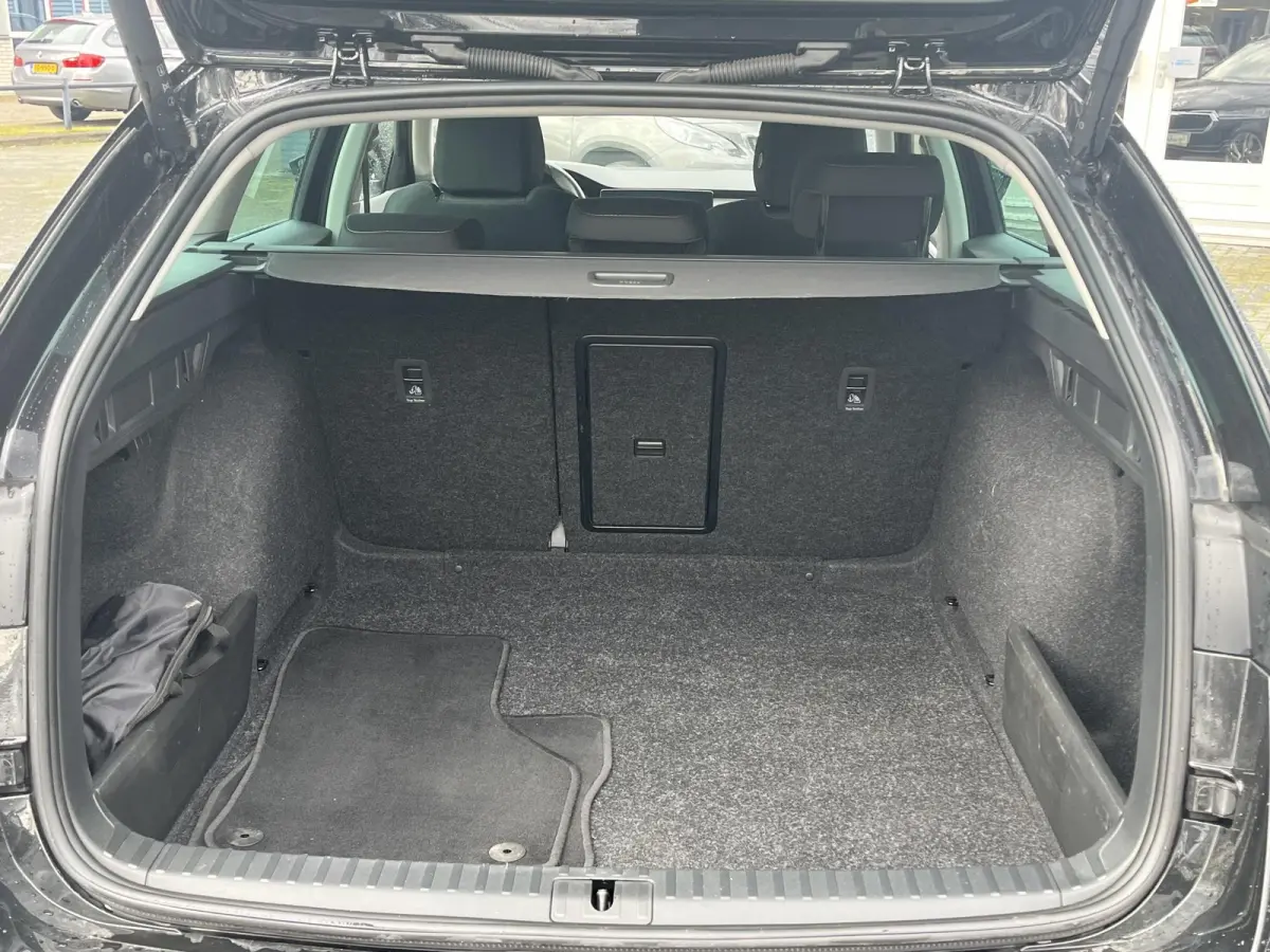1.0 e-TSi DSG Business Edition | CAMERA | STUUR-STOELVERW. | EL. ACHTERKLEP |