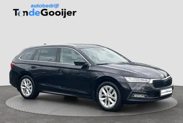 1.0 e-TSi DSG Business Edition | CAMERA | STUUR-STOELVERW. | EL. ACHTERKLEP |