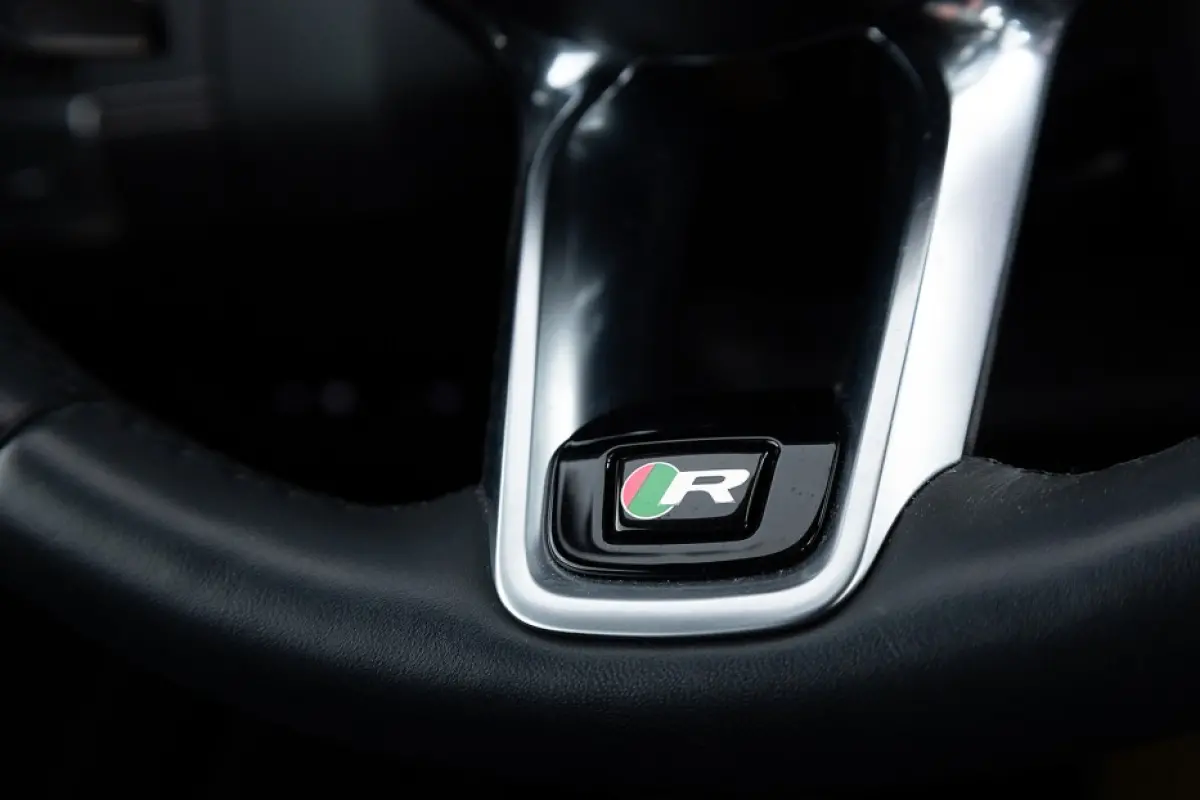 1.5 P300e AWD R-Dynamic S | PANORAMADAK | LEDER | EL. Stoelen