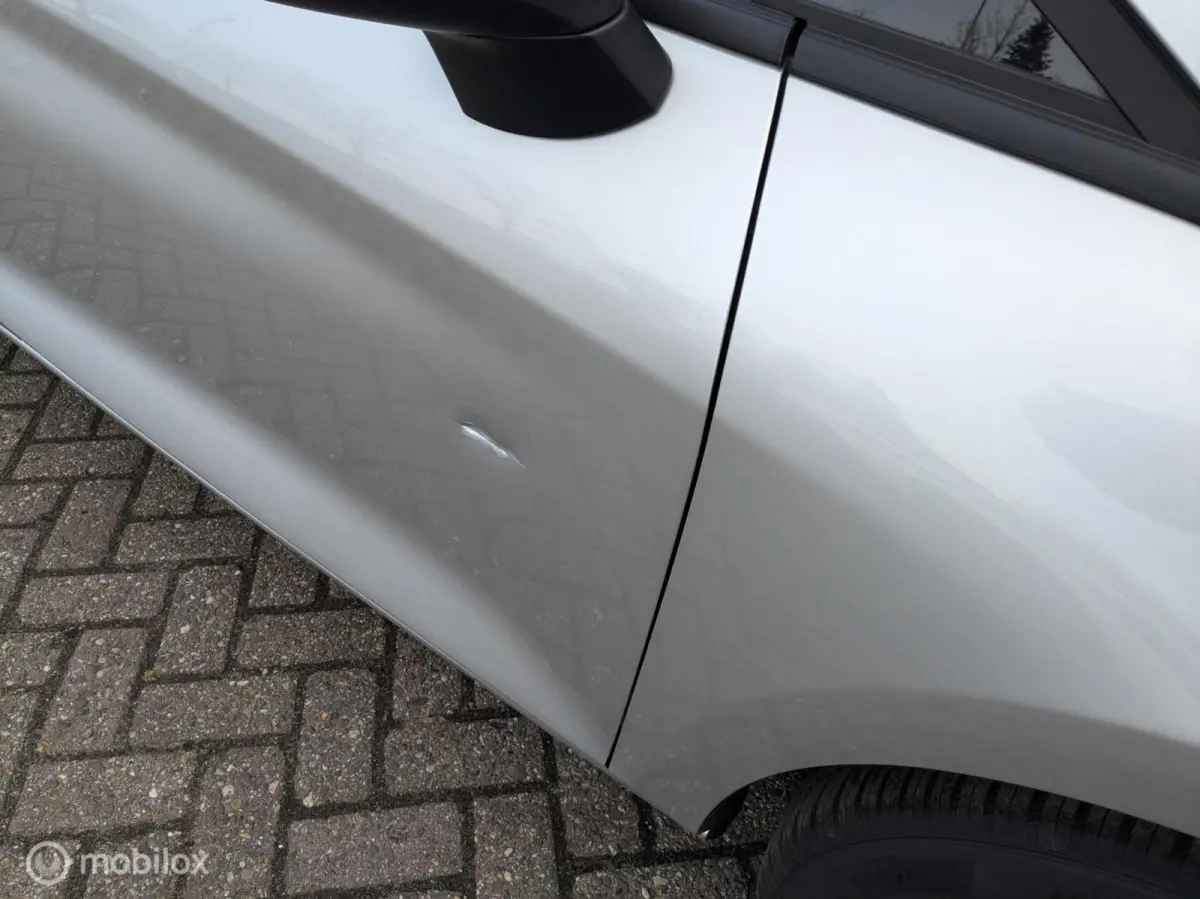 1.0 EcoBoost Facelift|Carplay|1e. eig.|