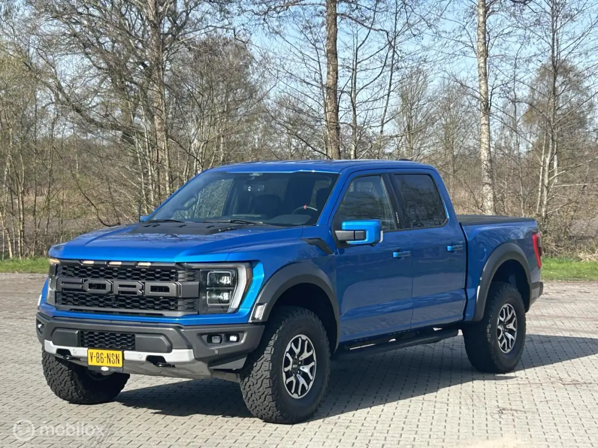 USA Raptor