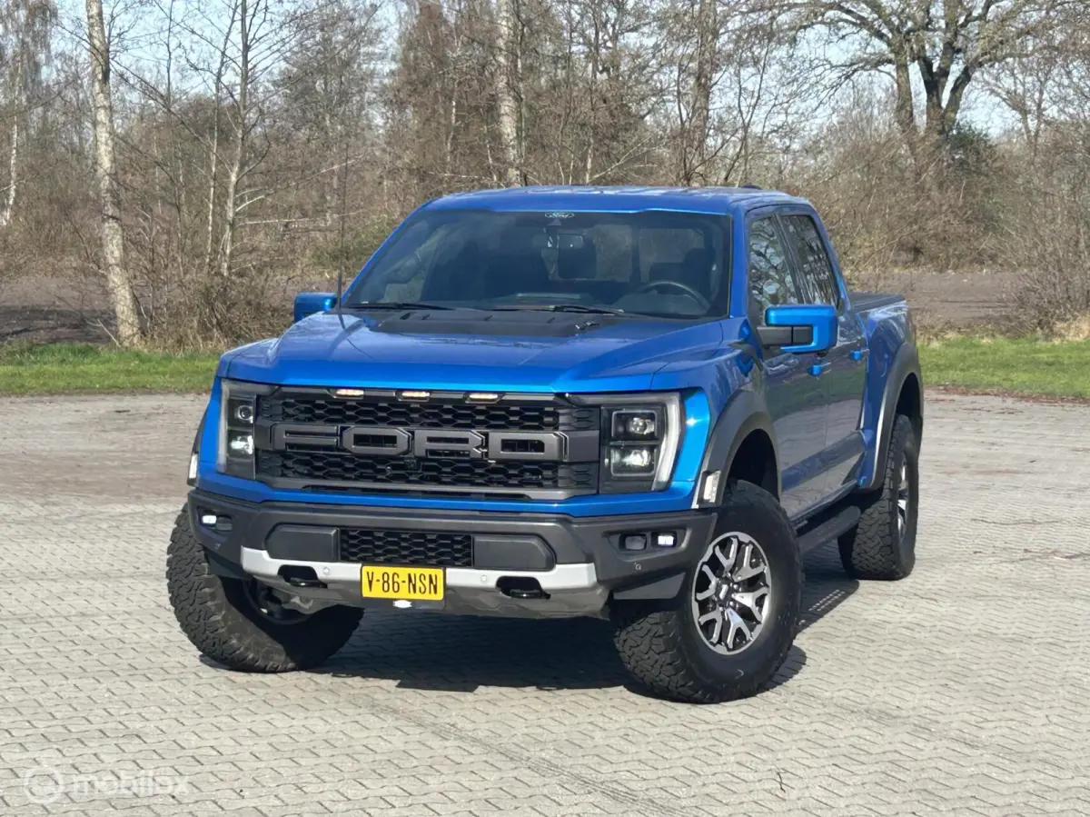 USA Raptor