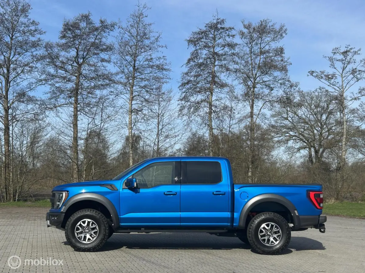 USA Raptor