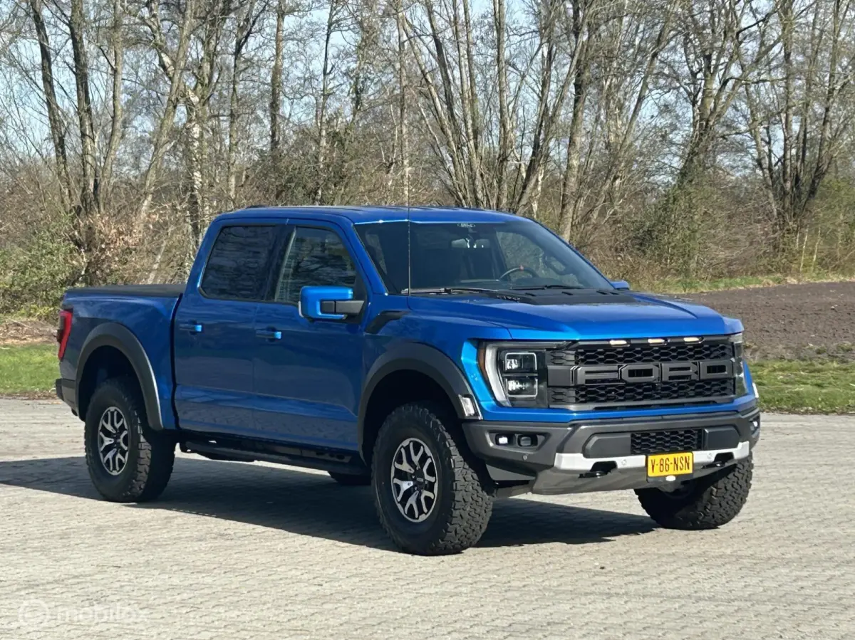 USA Raptor