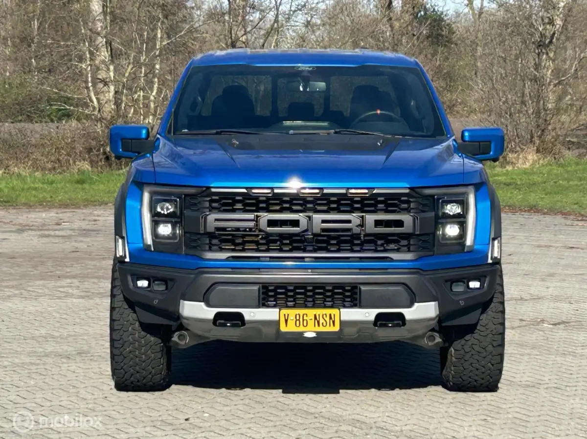 USA Raptor