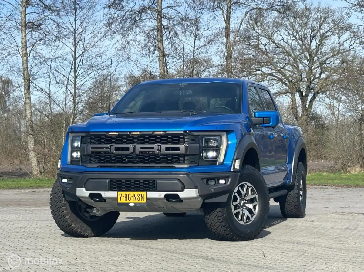 USA Raptor