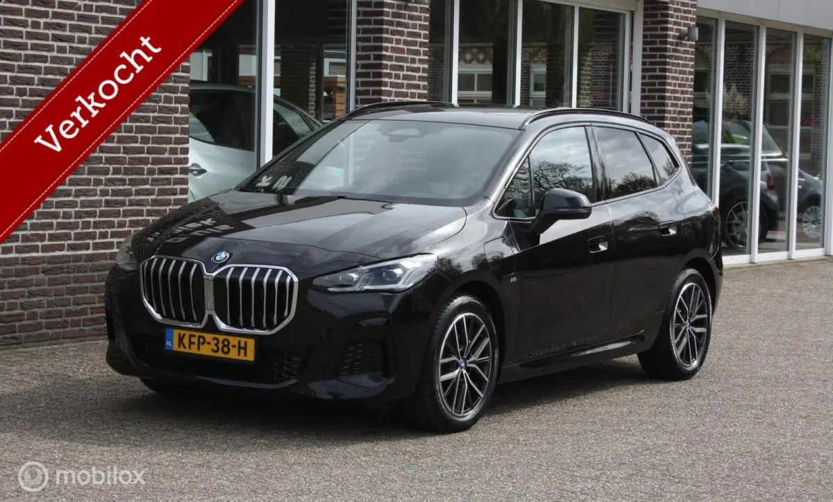 360cam, M sport onderstel, panoramadak 225e xDrive