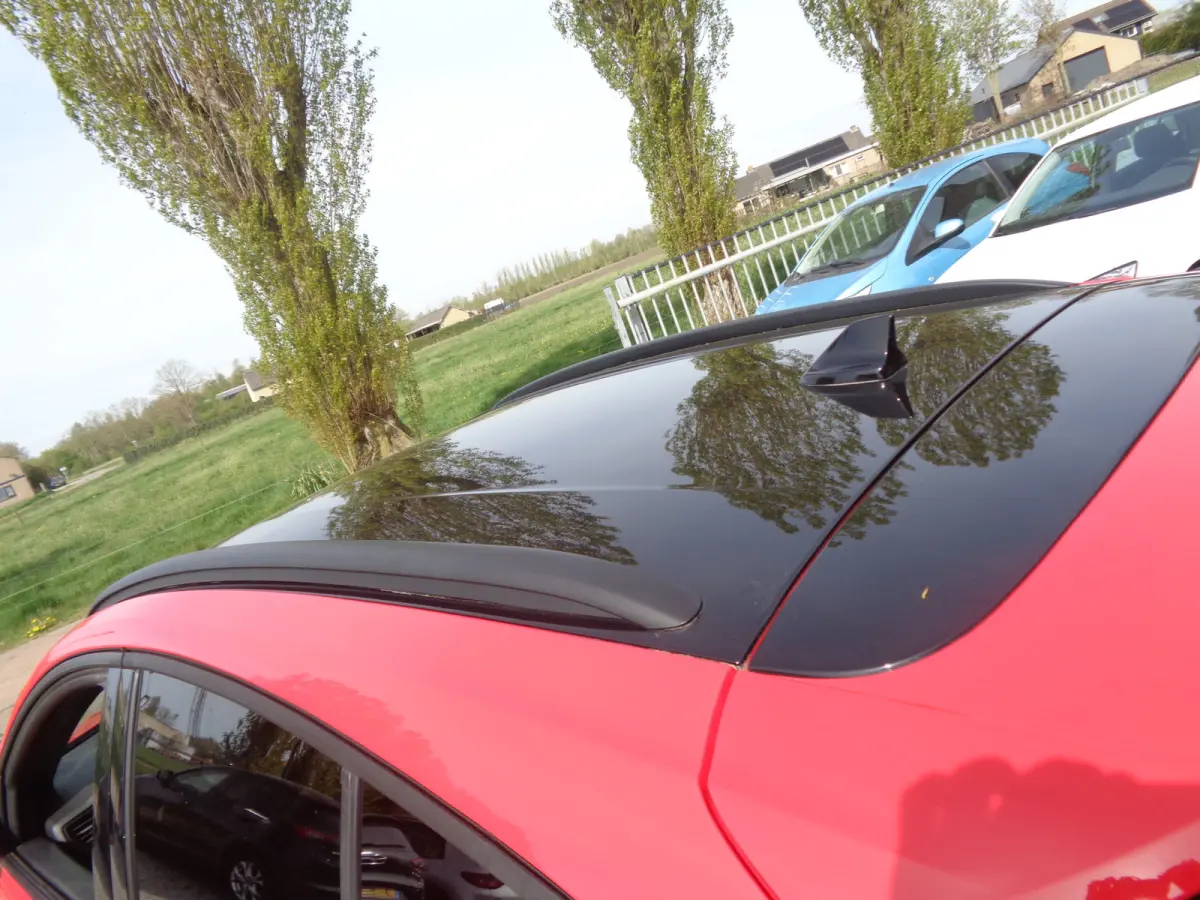 1.0 EcoBoost Hybrid Active X Business Navigatie, ECC, PDC v+a, camera, zwart dak, 17 inch, 155 PK !!