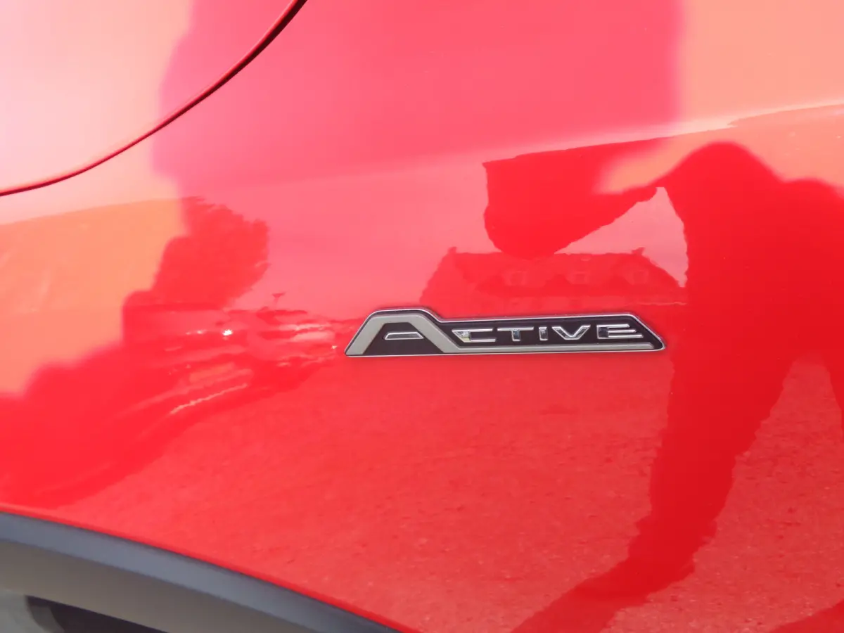 1.0 EcoBoost Hybrid Active X Business Navigatie, ECC, PDC v+a, camera, zwart dak, 17 inch, 155 PK !!