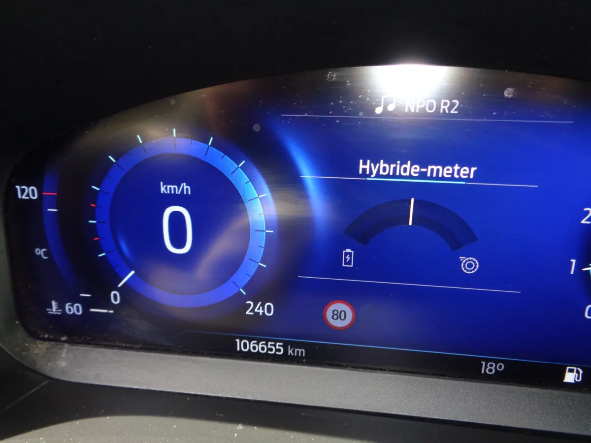 1.0 EcoBoost Hybrid Active X Business Navigatie, ECC, PDC v+a, camera, zwart dak, 17 inch, 155 PK !!