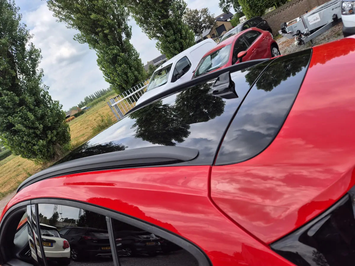 1.0 EcoBoost Hybrid Active X Business Navigatie, ECC, PDC v+a, camera, zwart dak, 17 inch, 155 PK !!