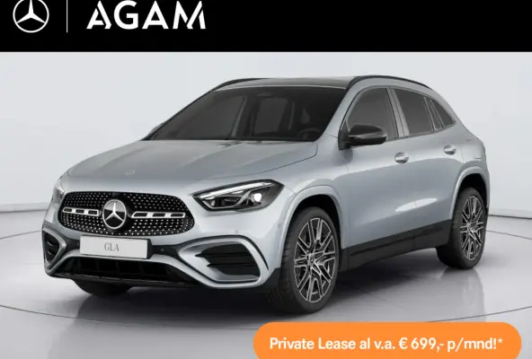 250 e Business Solution AMG