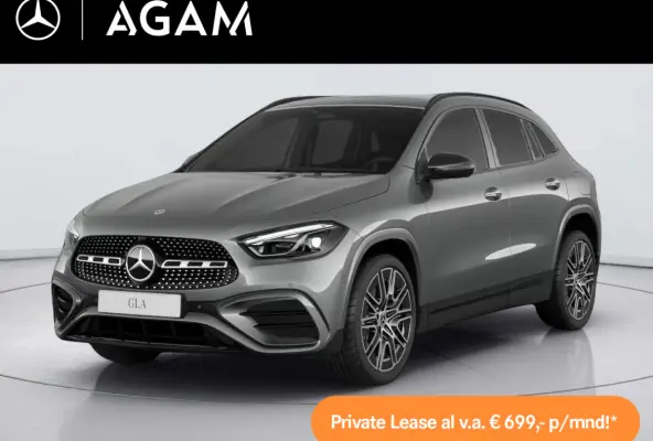 250 e Business Solution AMG