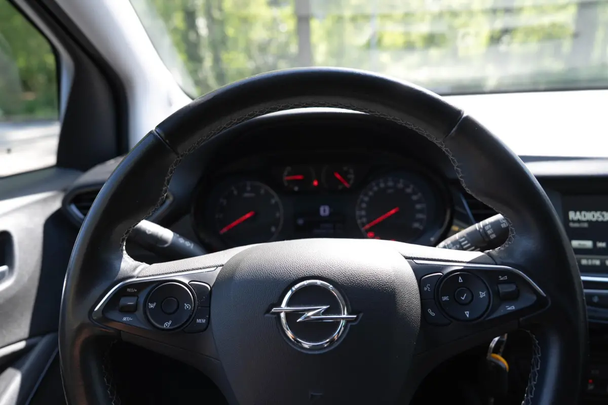 1.2 120 Jaar Edition | Cruise | Carplay | Airco | D-riem vervangen