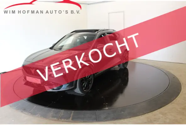 1.4 e-Hybrid VZ 245PK El Trekh+aKlep 360º Cam Pano Vol Leder mem Seat Copper Edition