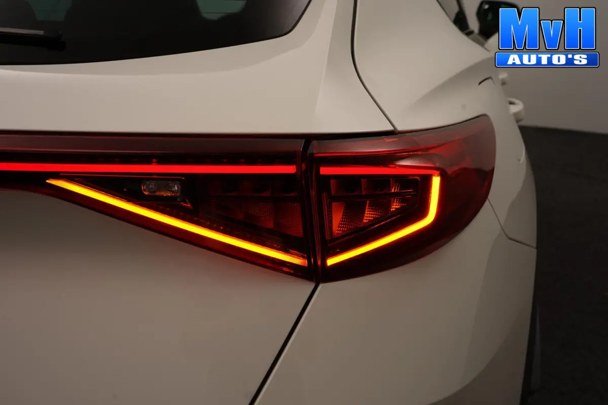 1.4 PHEV VZ Performance|PANO|STUUR.VERW|SOH100%