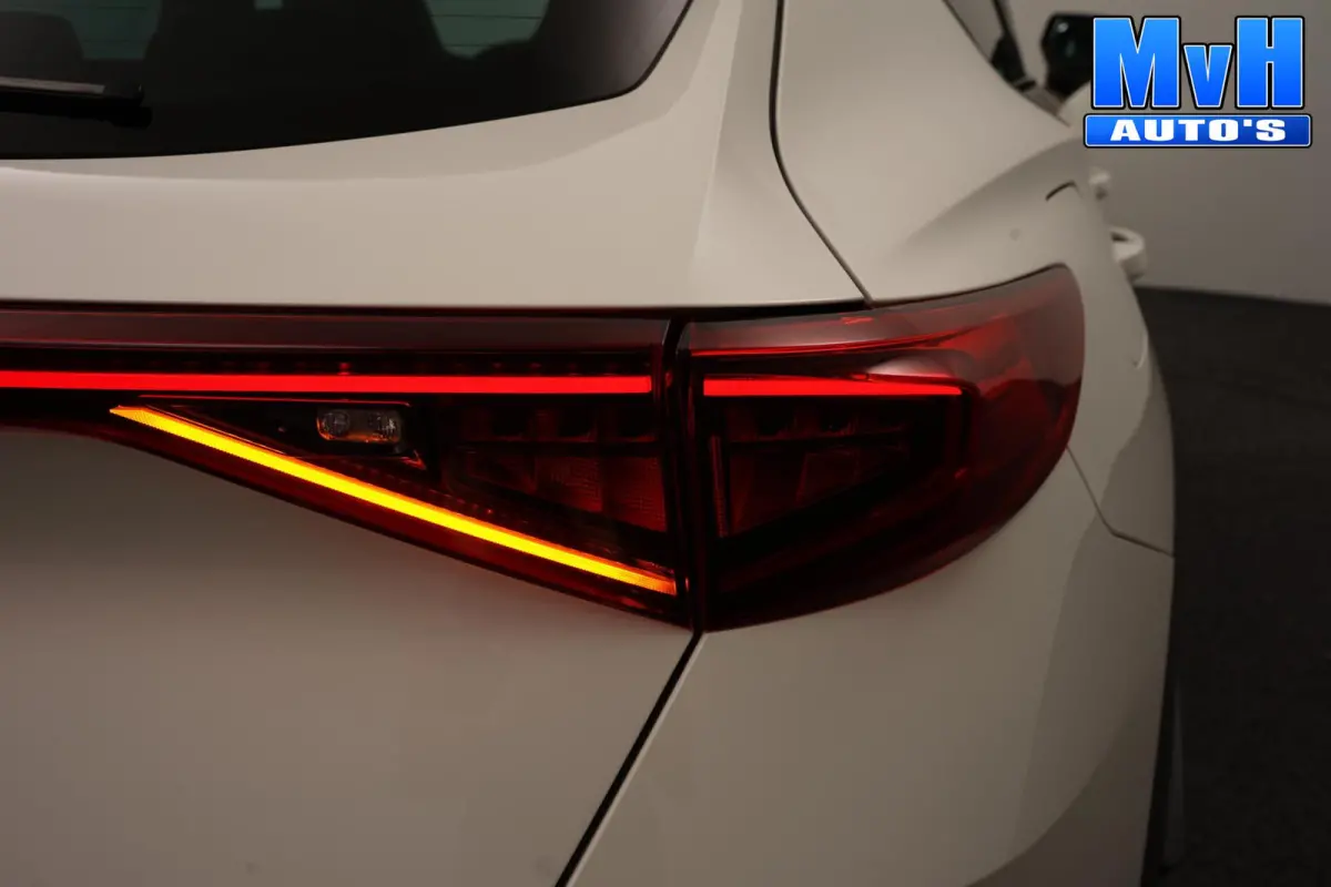 1.4 PHEV VZ Performance|PANO|STUUR.VERW|SOH100%