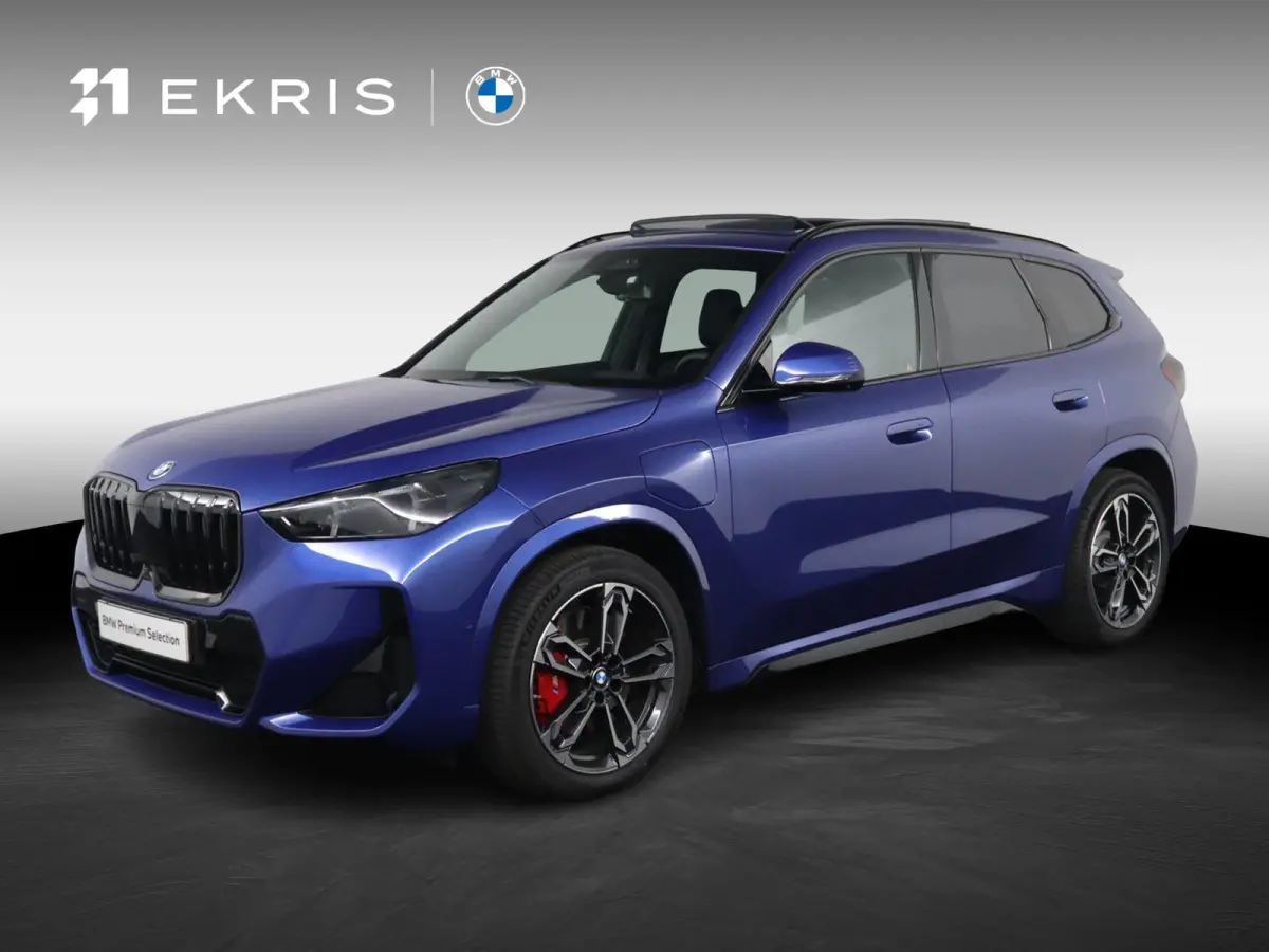 xDrive25e | SOH 100% | M Sportpakket Pro | Innovation Pack | Trekhaak | Panoramadak | Driving Assistant Plus