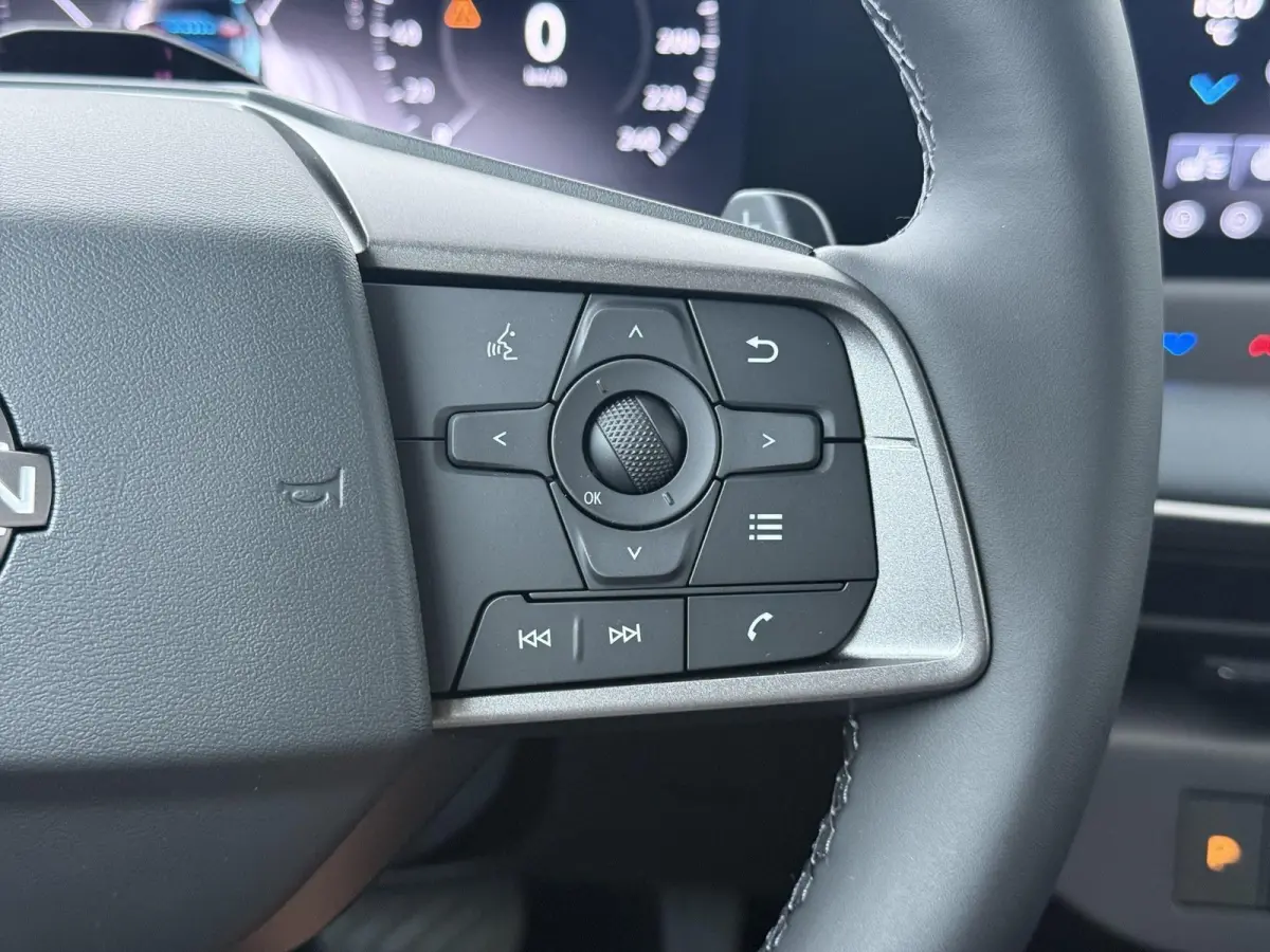 Engage 52 kWh | DE NIEUWE NISSAN LEAF! | Cold Pack | 445km WLTP