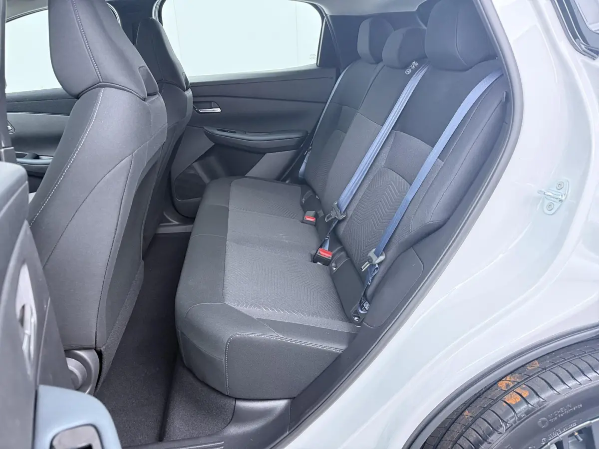Engage 52 kWh | DE NIEUWE NISSAN LEAF! | Cold Pack | 445km WLTP