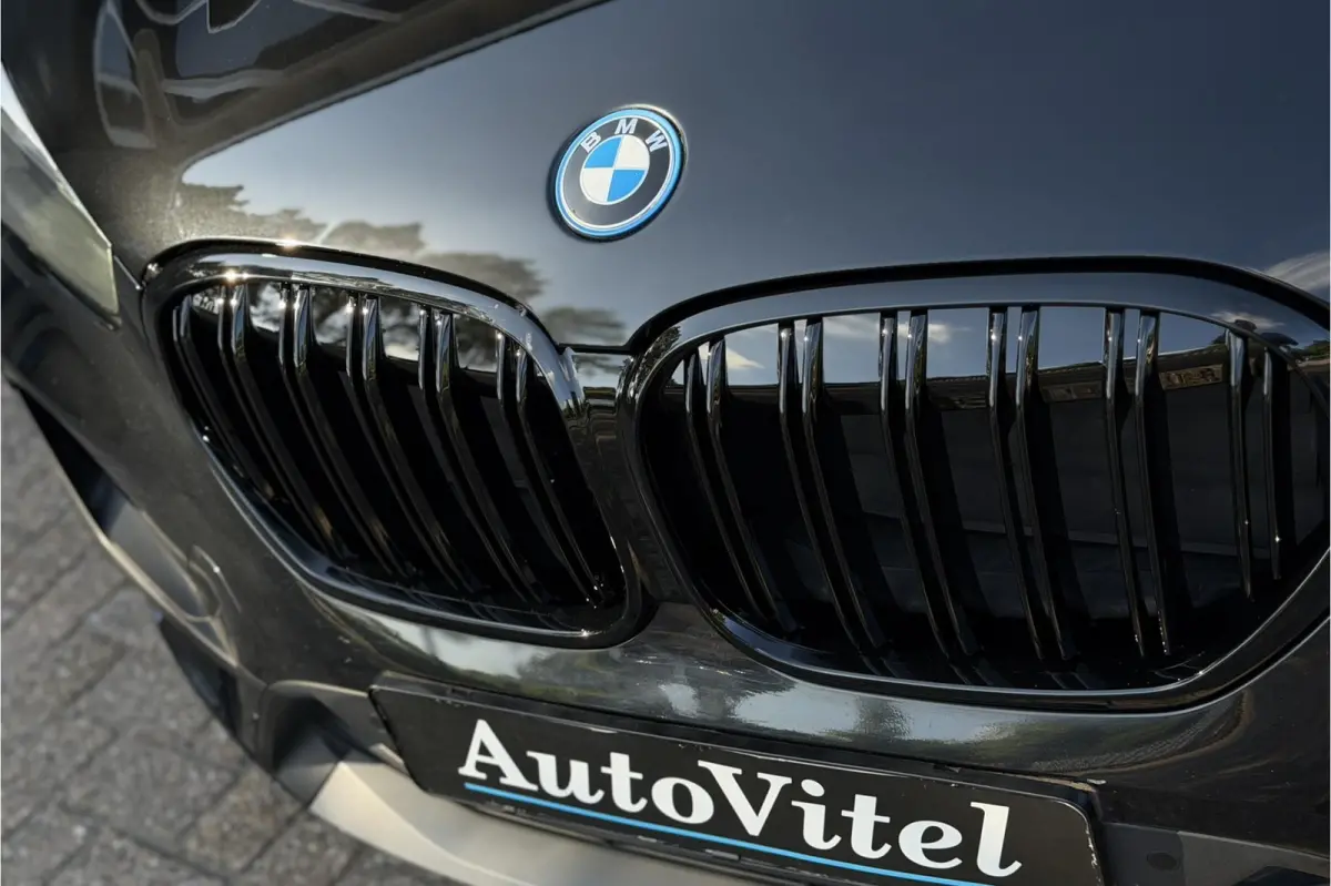 xDrive25e | Leder | Trekhaak | Head-Up | Camera | LED | PDC V & A