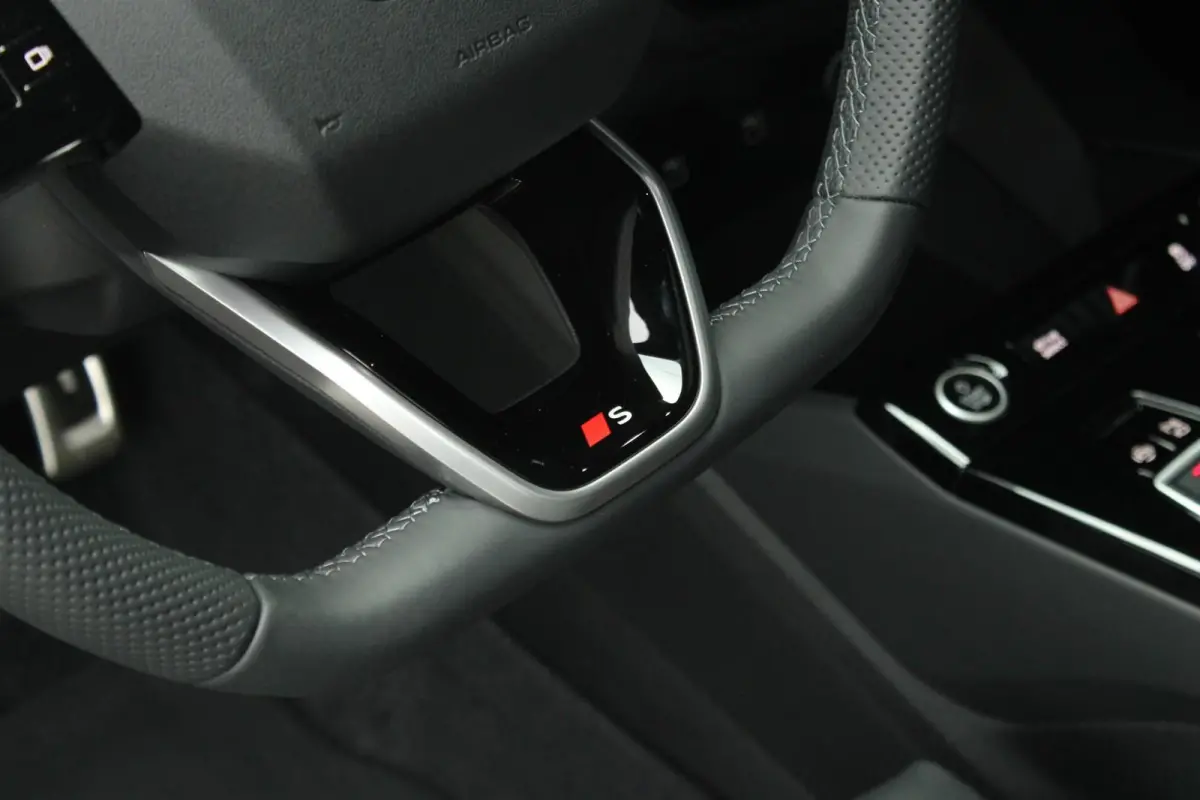 306pk S Edition Performance 100 kWh | Trekhaak Pakket | Panoramadak