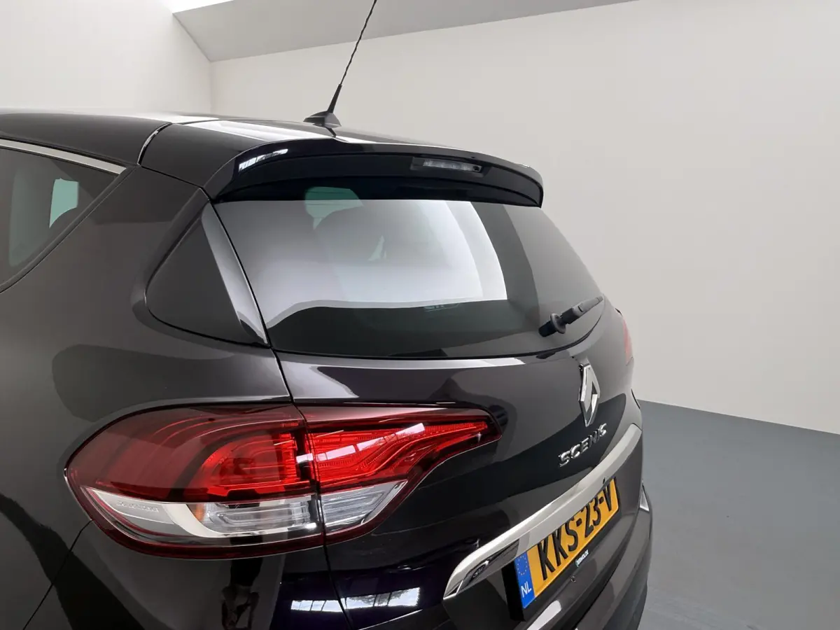 Energy TCe 160 EDC Initiale Paris | Trekhaak | Lederen Bekleding | Bose Audio |