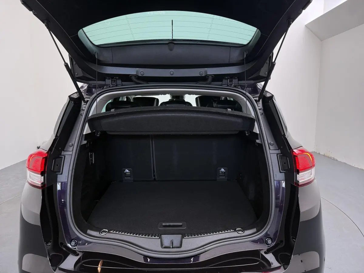 Energy TCe 160 EDC Initiale Paris | Trekhaak | Lederen Bekleding | Bose Audio |
