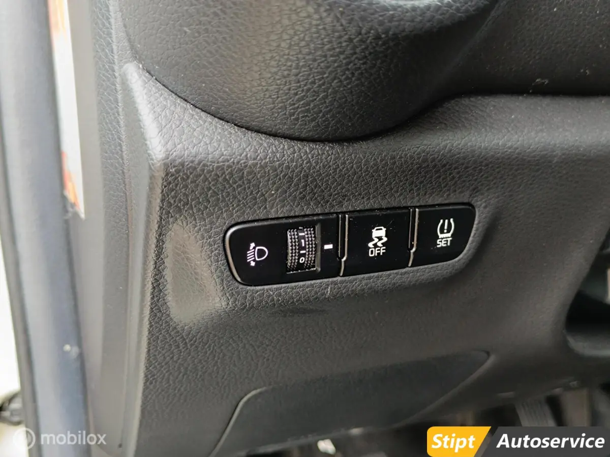 DynamicLine | Camera | Cruise | NAP | Carplay
