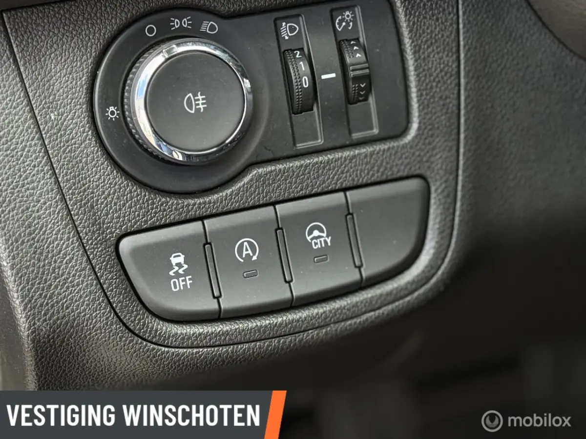 1.0 ecoFLEX Edition | Airco | Bluetooth | Elekt. Ramen | Cruise | Zuinig | RIJKLAARPRIJS I