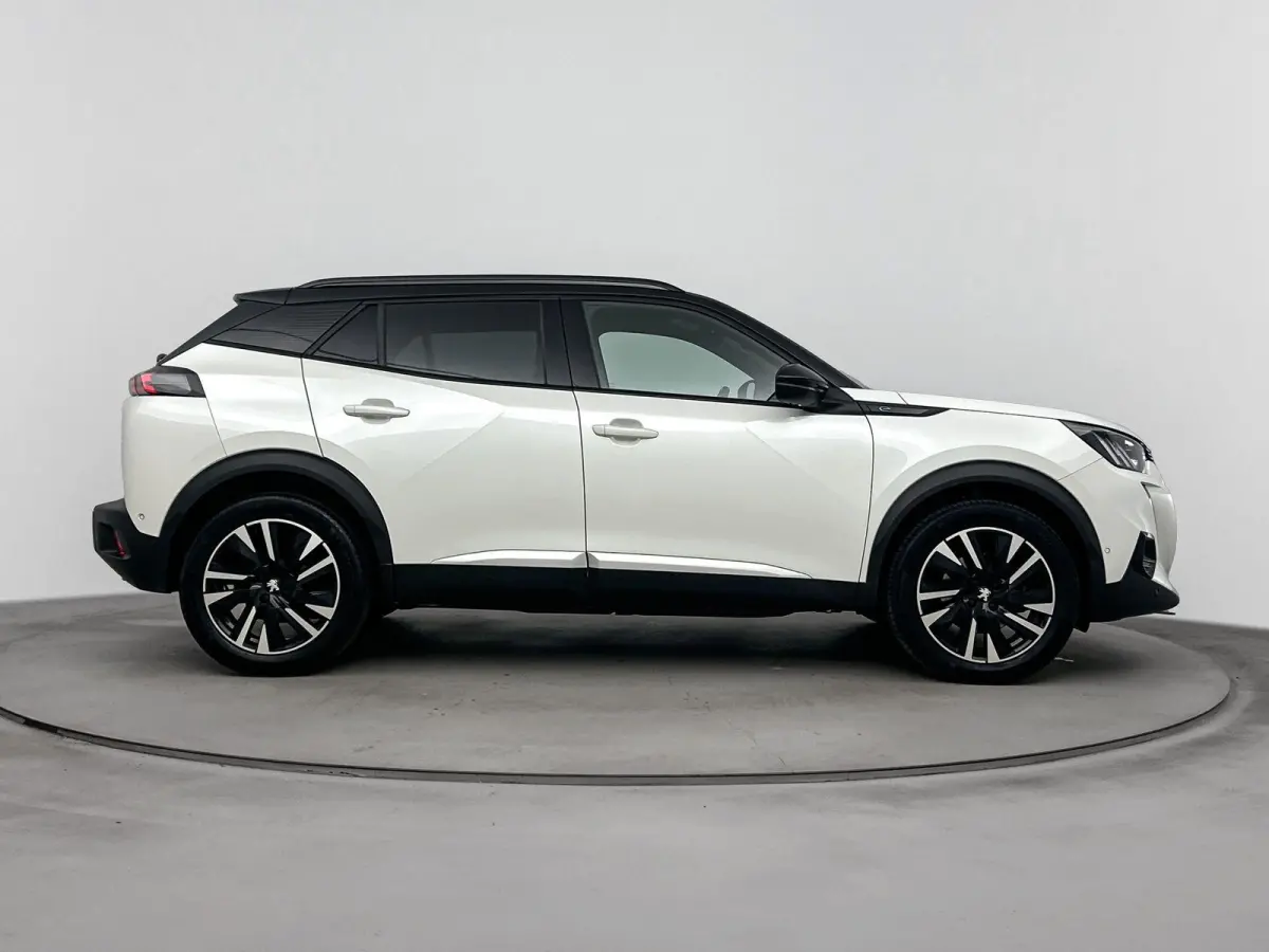 EV GT Pack 50 kWh | Dodehoek detectie | Alcantara stoelen | Camera | Navigatie | Interieur verlichting |SOH 96%