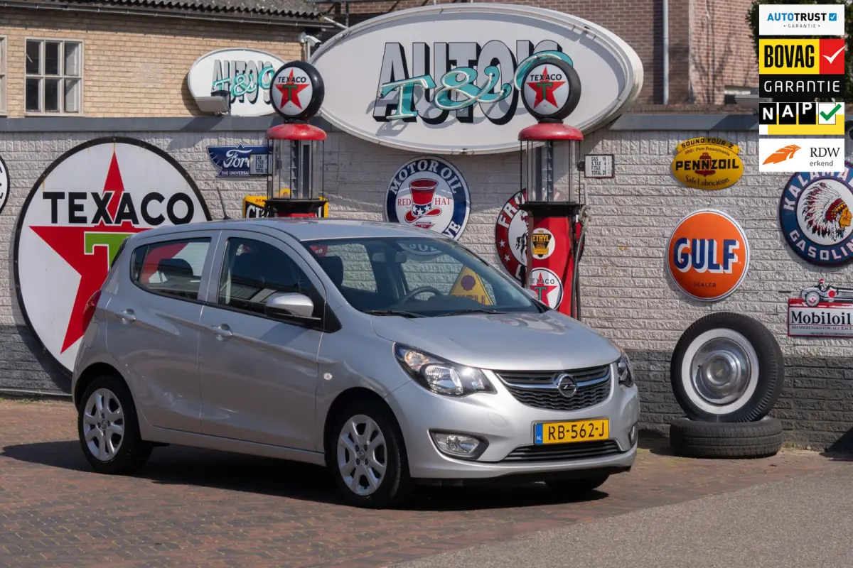 1.0 ecoFLEX Edition 53.200 km +NAP NL-auto