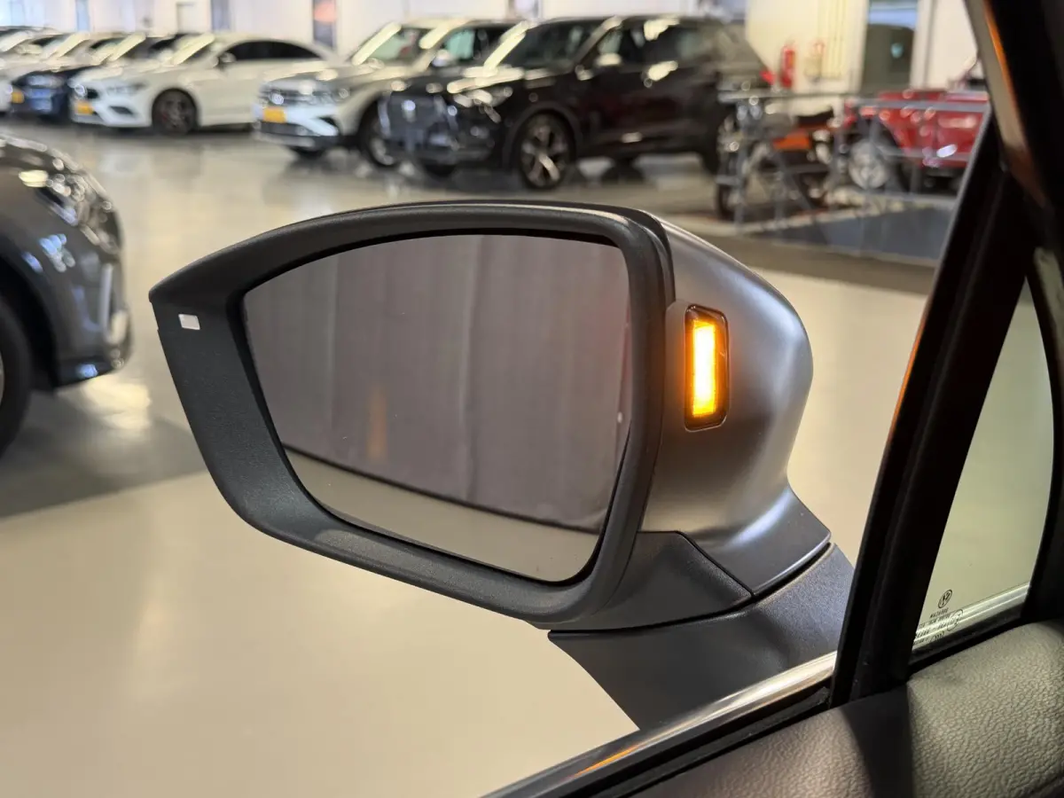 1.4 TSI e-Hybrid PHEV FR Business Intense 20"/Panoramadak/Leder + memory/360 camera/Keyless/Dodehoek/Elektrische klep/Stuur + stoelverwarming v+a
