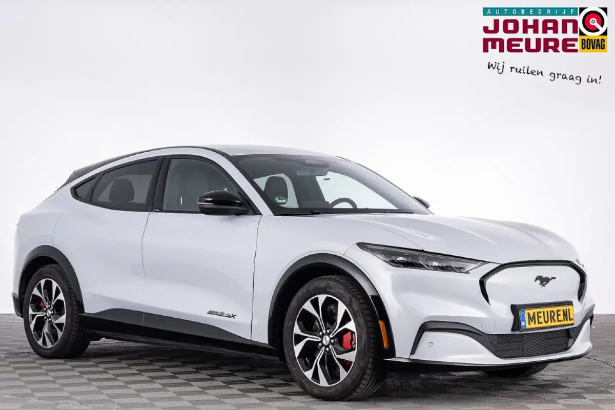 Extended AWD 98 kWh *SOH 98.4%* LEDER | Full LED | CAMERA !