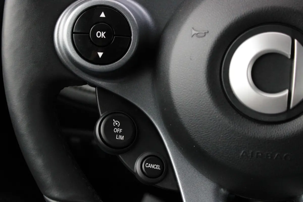 EQ BRABUS Mattrunner Brabus Mattrunner | Camera | Stoelverwarming | DAB | LED | Verwarmd Stuur