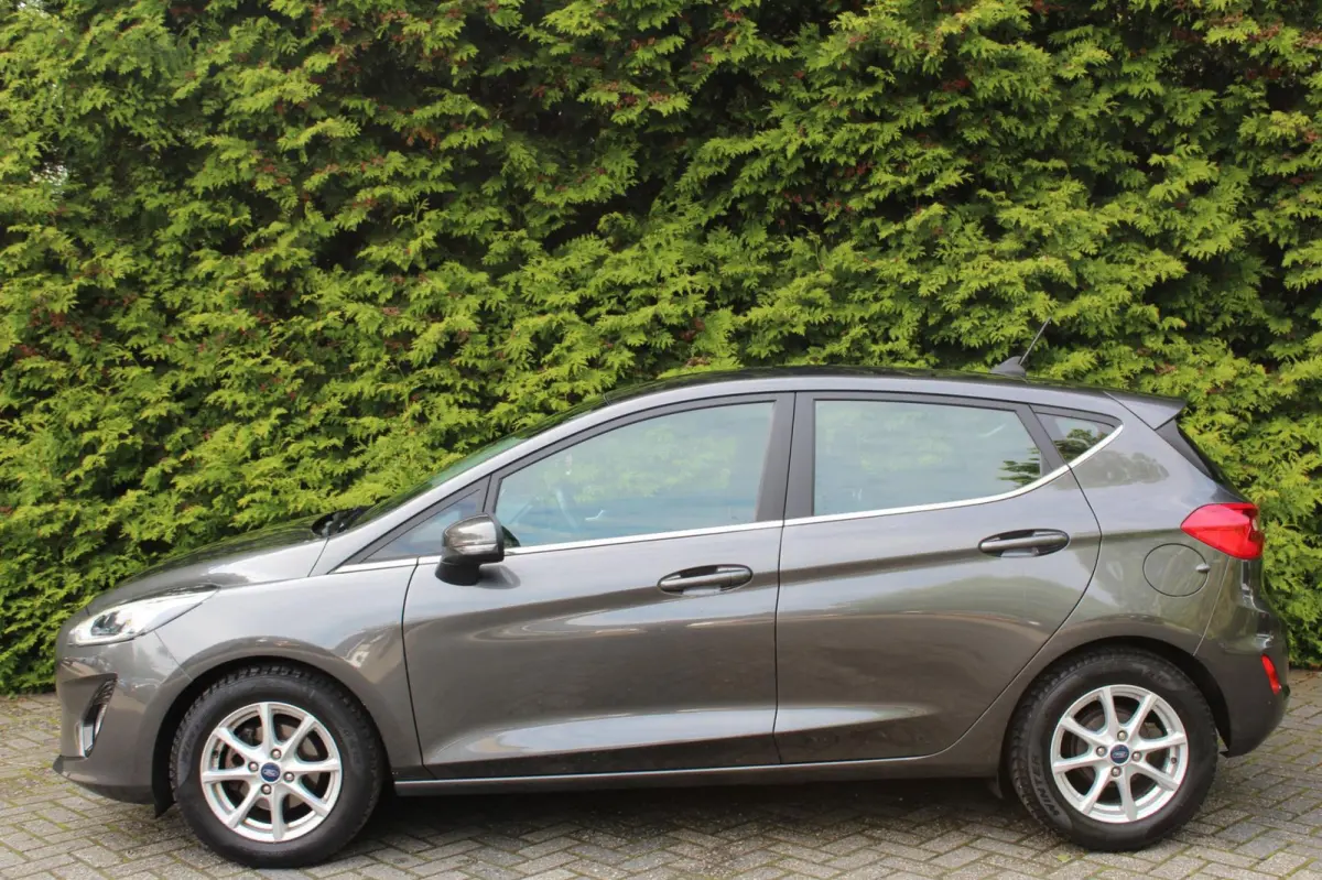 1.0 EcoBoost Hybrid Titanium 125PK | Climate Control | NAVI | LMV | PDC V+A | Cruise Control | Dealeronderhouden