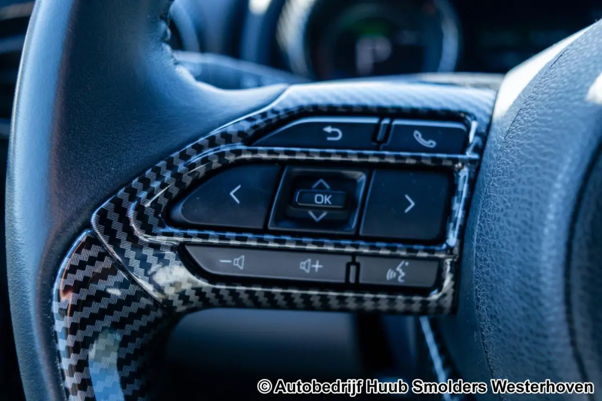 1.5 Hybrid Active