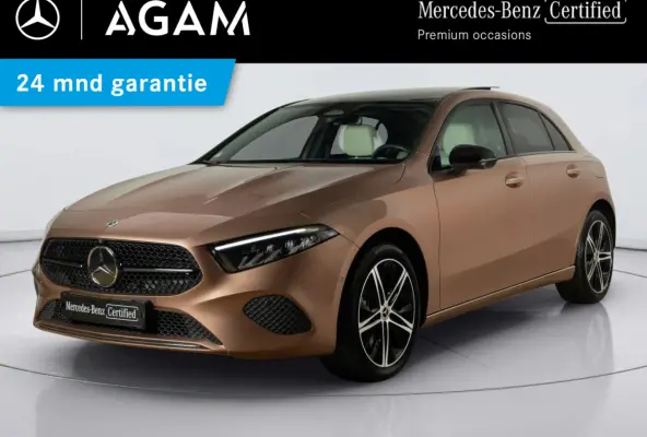 Hatchback 250 e Luxury Line | Panorama dak