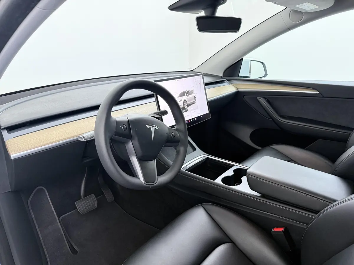 RWD 58 kWh | Full Self-Driving Capability | Trekhaak |