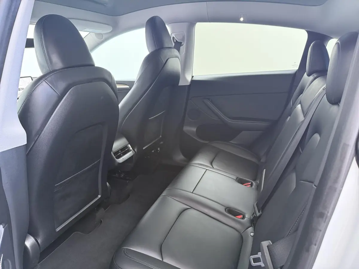 RWD 58 kWh | Full Self-Driving Capability | Trekhaak |