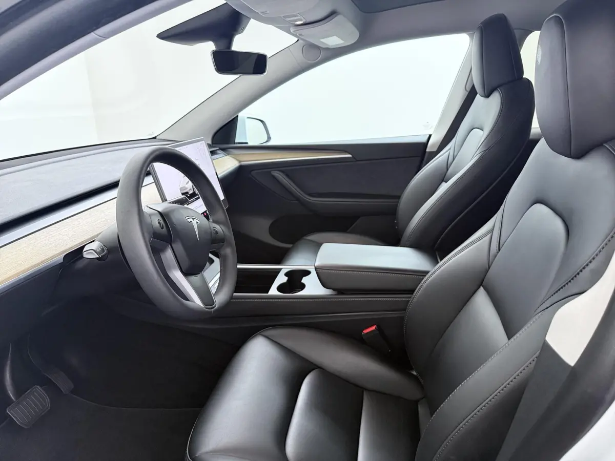 RWD 58 kWh | Full Self-Driving Capability | Trekhaak |