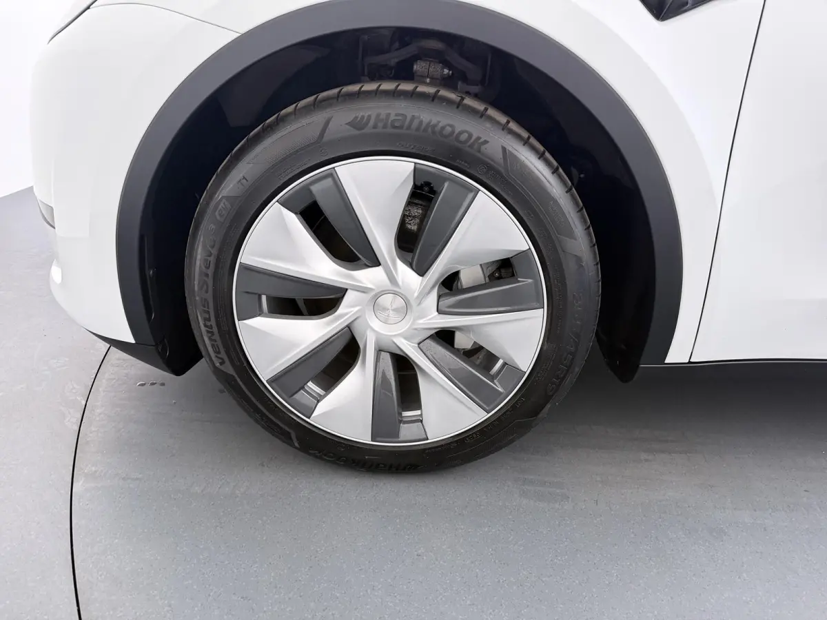RWD 58 kWh | Full Self-Driving Capability | Trekhaak |