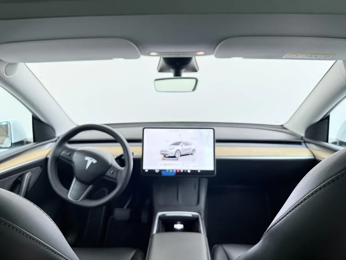 RWD 58 kWh | Full Self-Driving Capability | Trekhaak |