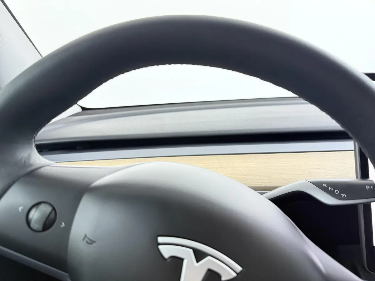 RWD 58 kWh | Full Self-Driving Capability | Trekhaak |