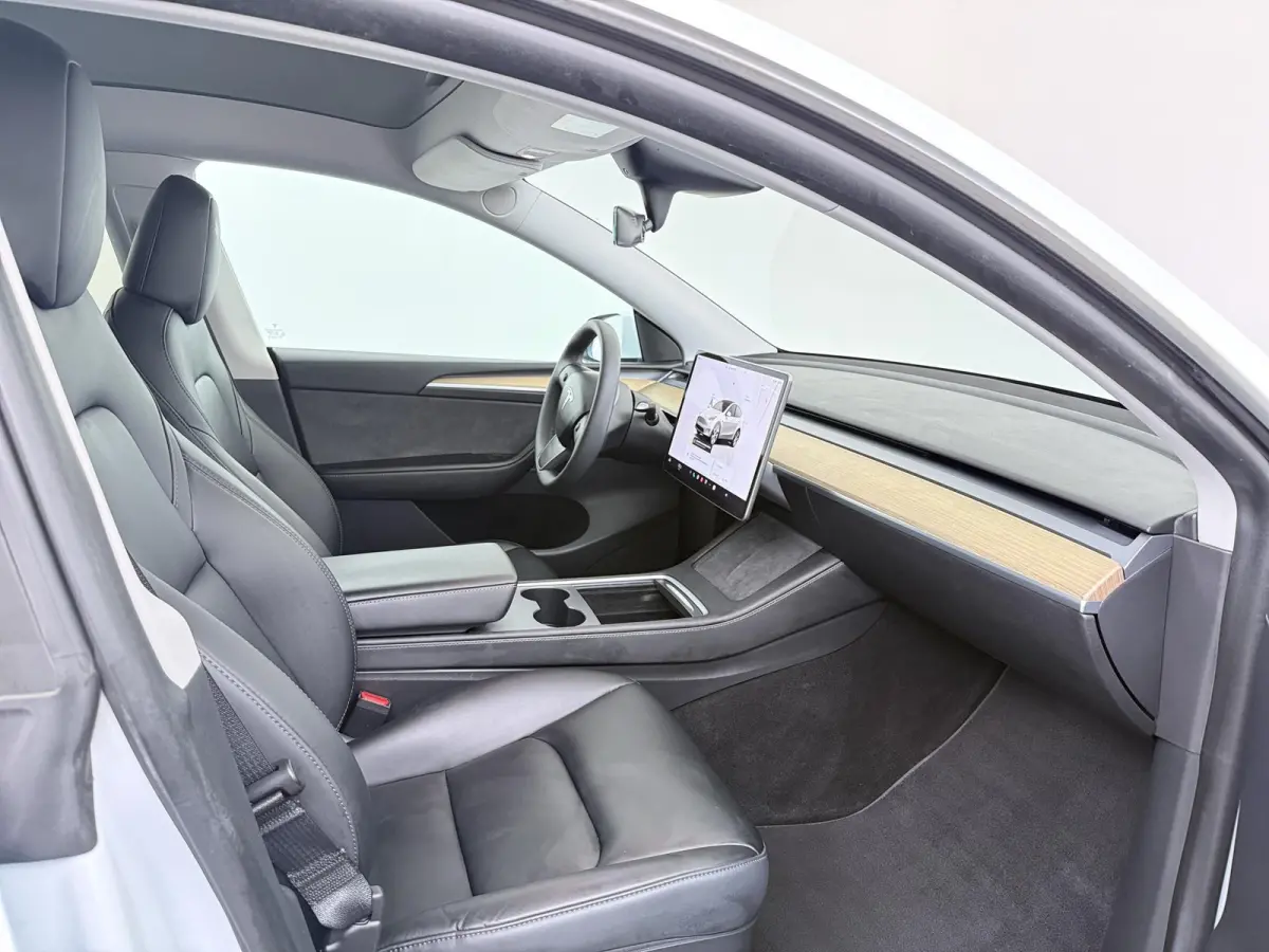 RWD 58 kWh | Full Self-Driving Capability | Trekhaak |
