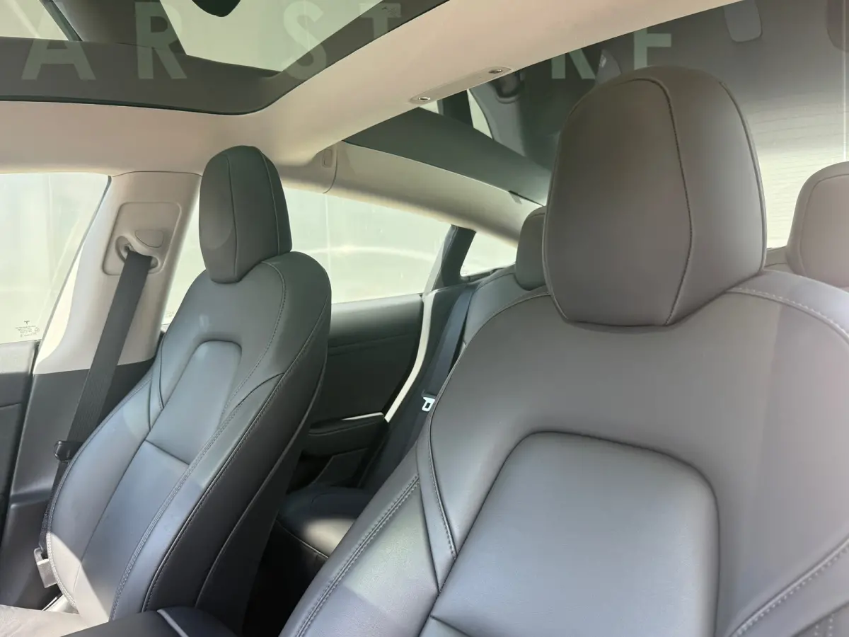Standard RWD Plus 60 kWh LFP 93% SOH FACELIFT