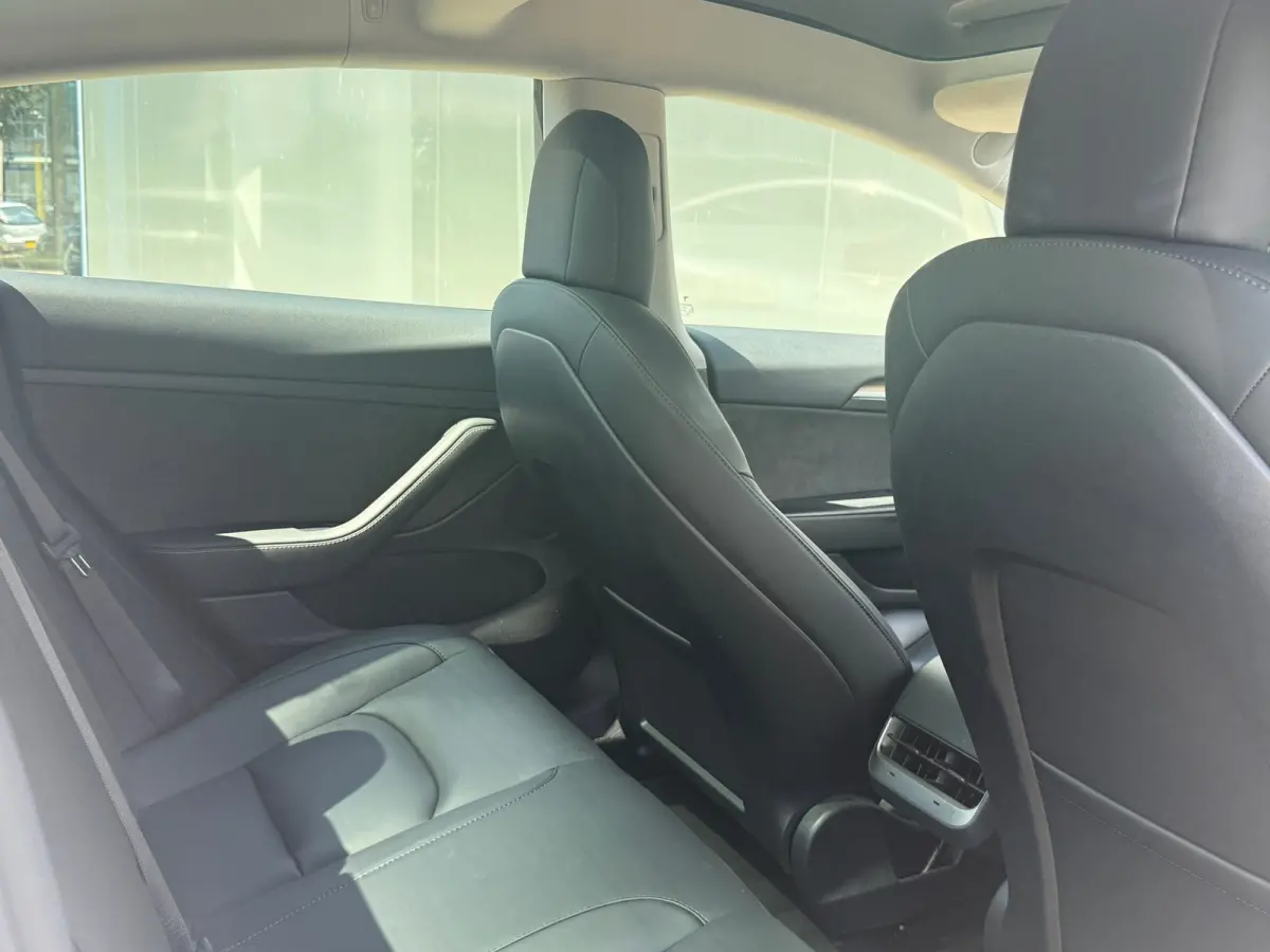 Standard RWD Plus 60 kWh LFP 93% SOH FACELIFT