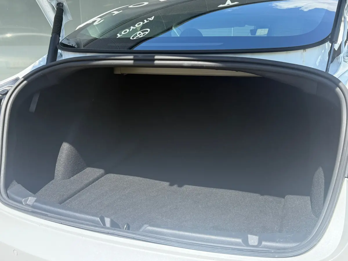 Standard RWD Plus 60 kWh LFP 93% SOH FACELIFT