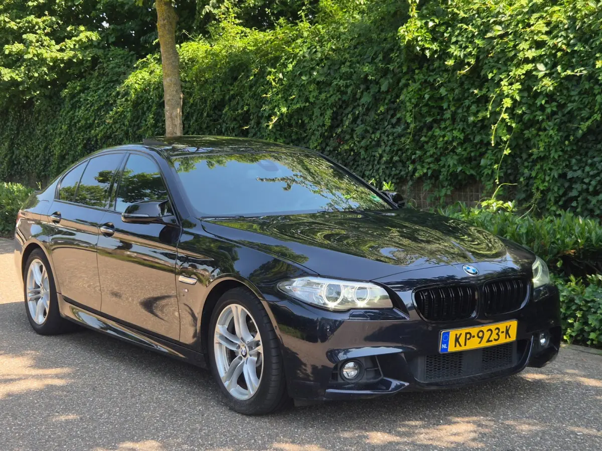 M Sport Edition High Executive Schuifdak Adaptieve Cruise Control Virtual Dash NAP 520i M Sport Edition High Executive